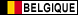 immobilier belgique